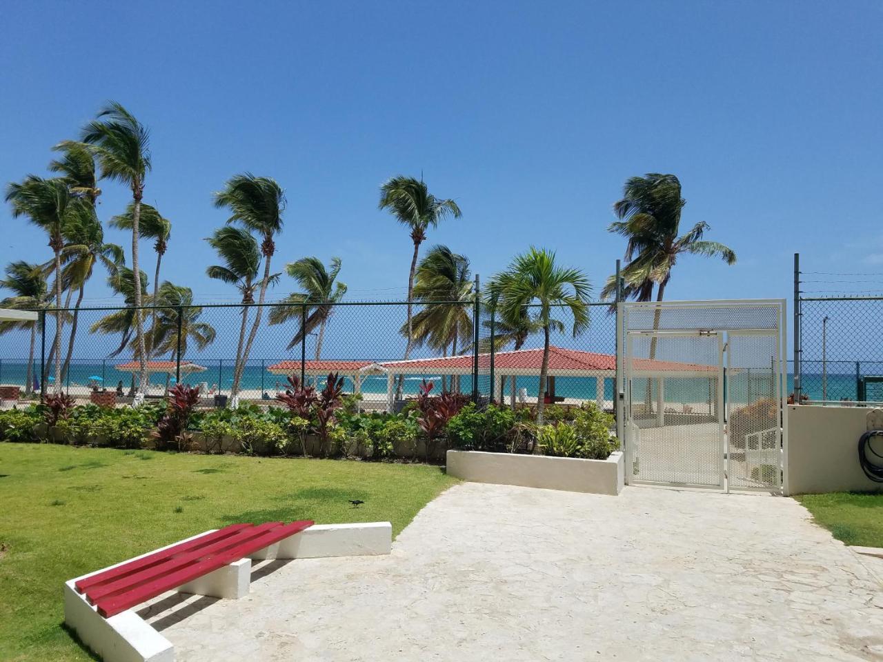 Marbella Del Caribe 1608 Leilighet San Juan Eksteriør bilde